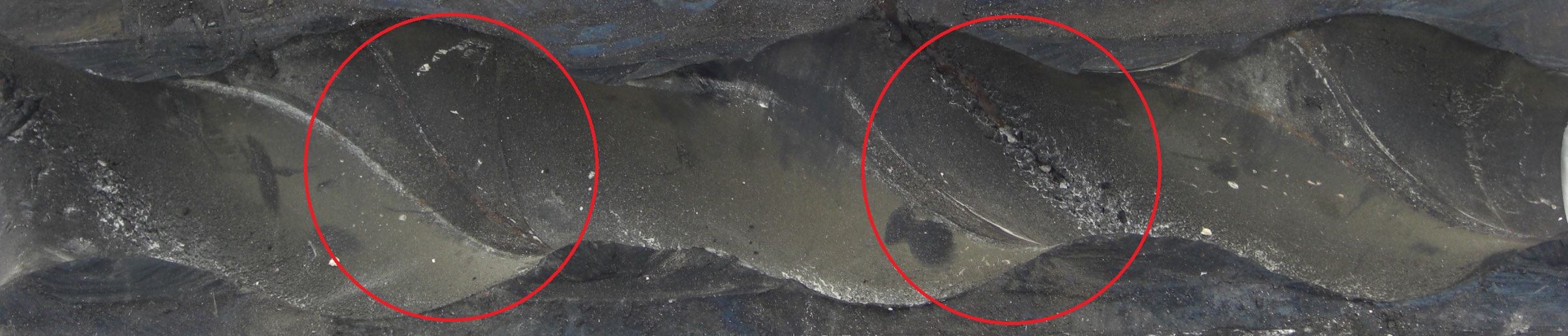 Querschnitt-Schnecke k.jpg